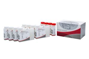 Bilirubin Direct / audit / کیت بیوشیمی / کیت تشخیص طبی / ازمایشگاه بالینی / 